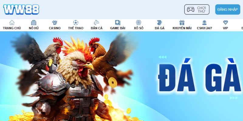 Sảnh cược đá gà